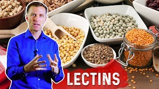 Lectins and Autoimmune Conditions [upl. by Ayortal267]