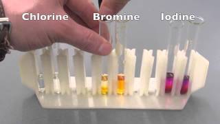 Halogen reactivity [upl. by Lesak887]