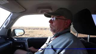 Thousands of tarantulas migrating across Colorado roads [upl. by Aaronson]