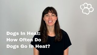 Female Dog Heat Cycles How Often Do Female Dogs Go In Heat [upl. by Yonatan]