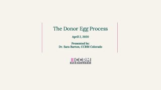 What to Expect When Using Donor Eggs [upl. by Perla]