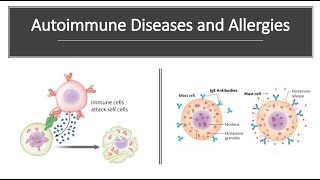 Autoimmune Diseases and Allergies [upl. by Winifield]