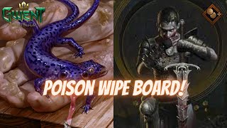 GWENT  Legendary Double Salamander Meme 112  Lets Wipe Out The Board [upl. by Nwahs]