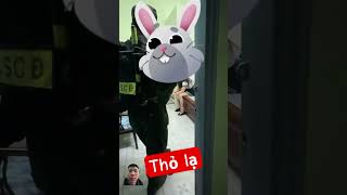 shots tinnhanh fail automobile mrbeasthunt tintuc memes mrbeast funny giaitri [upl. by Aiyot903]