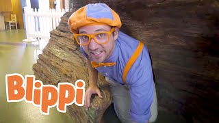 Blippi Explores A Childrens Museum  Educational Blippi Videos [upl. by Nibram116]