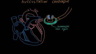 Auscultation cardiaque Partie 1 Introduction Docteur Synapse [upl. by Ecnarual]