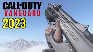 COD Vanguard  All Weapons Showcase Updated 2023 [upl. by Furmark]