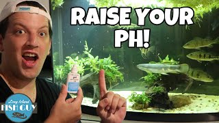 How to Raise pH in Aquarium [upl. by Gylys]