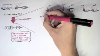 Immunology  Antibody Somatic VDJ Recombination II [upl. by Victoir]