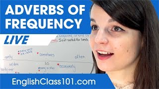 How to Use Adverbs of Frequency often sometimes rarely  Basic English Phrases [upl. by Nelyt]