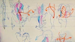 How to Draw Human Anatomy Part 1  Beginner Introduction [upl. by Loar]