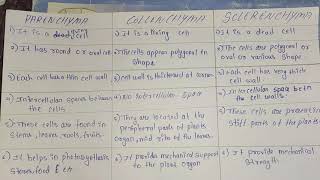 Difference between parenchyma collenchymaand SCLERENCHYMA [upl. by Carroll33]