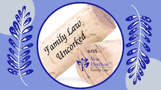 What Does a Family Law Paralegal Do [upl. by Ahsei]