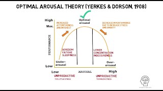 Optimal Arousal Theory by Yerkes and Dorson 1908 [upl. by Staffard]