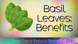 Basil Leaves Benefits and Uses [upl. by Croom114]