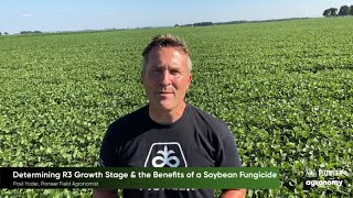 Soybean Fungicide Yield Benefits and Timing [upl. by Nnylyahs]