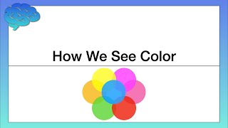 How do Humans Perceive Color [upl. by Hsihsa320]