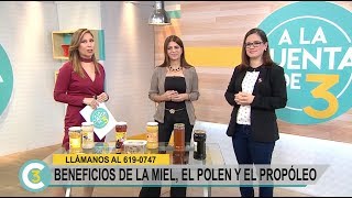 A la Cuenta de 3  Beneficios de la miel el polen y el propóleo  18072017 [upl. by Gelhar]