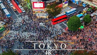 Japan Tokyo 🇯🇵 4K  Shibuya Crossing Time Lapse [upl. by Eramat]