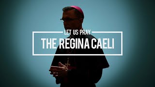 Pray  The Regina Caeli [upl. by Ardnnek321]