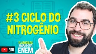 Ciclo do Nitrogênio  Flashdica 3  Maratona ENEM  Prof Gui [upl. by Audrye143]