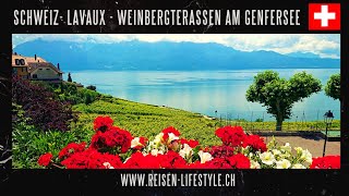 SchweizSuisse  Lavaux  Die schönsten WeinbergTerassen am Genfersee  reisenlifestylech [upl. by Llednek156]