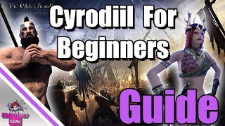 ESO Ultimate Beginners Guide to Cyrodiil [upl. by Dusza]