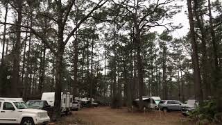 Olustee Battlefield Historic State Park FL [upl. by Zerline405]