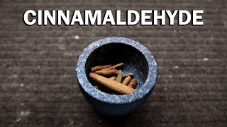 How to extract Cinnamaldehyde from Cinnamon [upl. by Avehs]