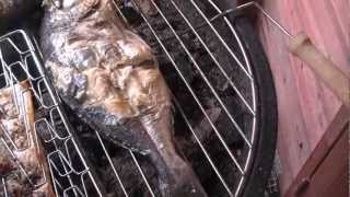 So grillt man Doraden Rezept  Der Bio Koch 253 [upl. by Monk268]