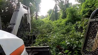 Cleaning up Kudzu [upl. by Bedad]