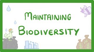 GCSE Biology  Maintaining Biodiversity 90 [upl. by Hegyera675]