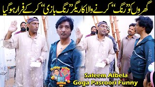 Rang Saaz Rang Baazi kar kay Faraar Ho gia Saleem Albela Goga Pasroori Funny [upl. by Glanti]