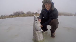 Ice Fishing for HUGE Sturgeon  Catch n Cook Sturgeon Over an Open Fire [upl. by Chilson]