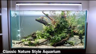 Nature Aquarium Aquascape Tutorial  Low Maintenance Home Aquascape Step by Step [upl. by Joellen]