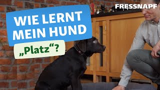 Hundekommando Platz  So lernt euer Hund quotPlatzquot [upl. by Edd]