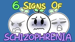 6 Signs Of Schizophrenia [upl. by Eniahpets463]