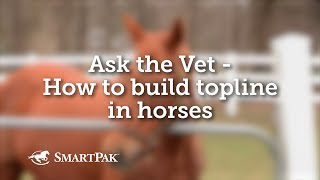 Ask the Vet  How to build topline in horses [upl. by Choong]