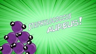 ¡Staphylococcus aureus en 8 minutos [upl. by Monro134]