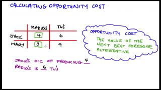 Calculating Opportunity Cost [upl. by Eignat]