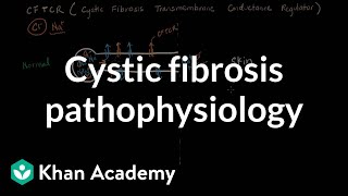 Cystic fibrosis pathophysiology  Respiratory system diseases  NCLEXRN  Khan Academy [upl. by Yerocaj785]