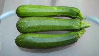 How to Grow Courgettes [upl. by Bathelda]