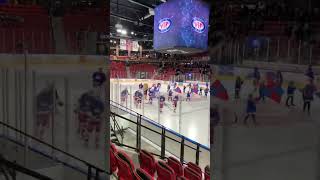 Vålerenga Ishockey oslo [upl. by Euqinue236]