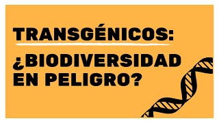 Transgénicos ¿Biodiversidad en peligro [upl. by Devitt98]