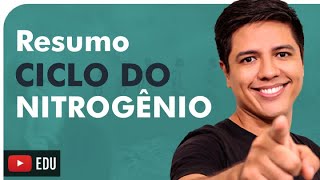 CICLO DO NITROGÊNIO  RESUMO ENEM  Prof Kennedy Ramos [upl. by Yarg362]