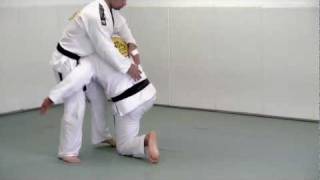 Double Leg Takedown  BJJ Blue Belt Requirements Technique 1 [upl. by Gnolb]