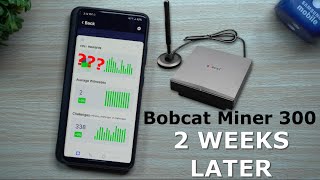 Bobcat Miner 300 HNT  Results After 2 Weeks  Helium Hotspot Miner [upl. by Adolfo137]