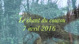 Le Chant du Coucou [upl. by Shana]