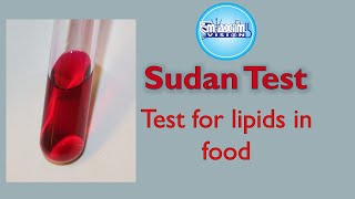 Test for Lipids Sudan Test Food Tests [upl. by Niliram]