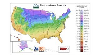 Plant Hardiness Zones  From the Ground Up [upl. by Llednyl857]